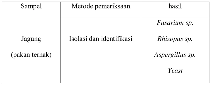 Tabel 4.1 Hasil pemeriksaan sampel pakan ternak (jagung) 