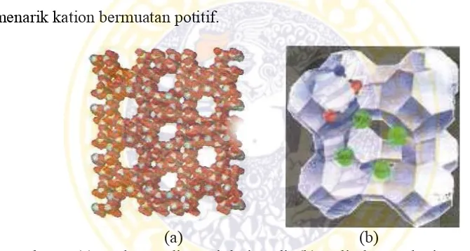 Gambar 2. (a) struktur 3 dimensi dari zeolit (b)zeolit dengan kation yang diserap(Sumber: Noertjahyani dan Nunung, 2009)