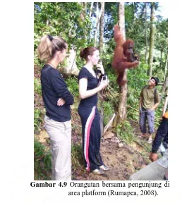 Gambar 4.9  Orangutan bersama pengunjung di area platform (Rumapea, 2008). 