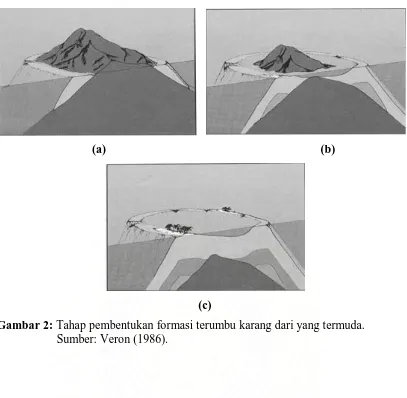 Gambar 2: Tahap pembentukan formasi terumbu karang dari yang termuda.   Sumber: Veron (1986)