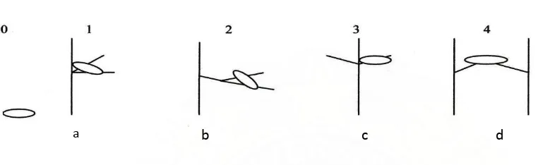 Gambar 2.2. Posisi  Sarang orangutan, a)posisi 1, b)posisi 2, c) posisi 3, d) posisi 4                                  