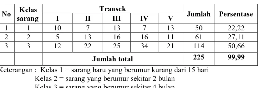 Tabel 4.3 Jumlah dan Persentase Sarang Berdasarkan Kelas sarang    