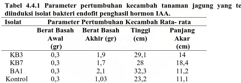 Tabel 4.4.1 Parameter pertumbuhan kecambah tanaman jagung yang telah diinduksi isolat bakteri endofit penghasil hormon IAA
