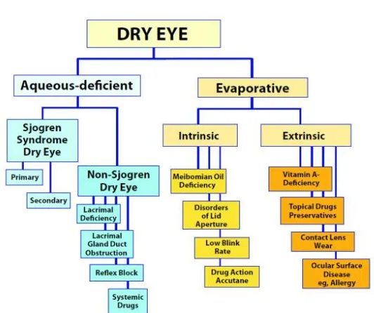 Gambar 2.4 Klasifikasi Dry Eye Berdasarkan National Eye Institute / Industry Workshop (Lemp et al., 2007) 