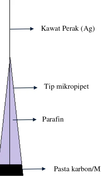 Gambar 3.1 Konstruksi elektroda pasta karbon/MIP  