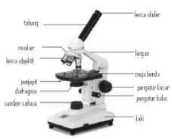 Gambar 2.3  Mikroskop (Wu, 2008) 