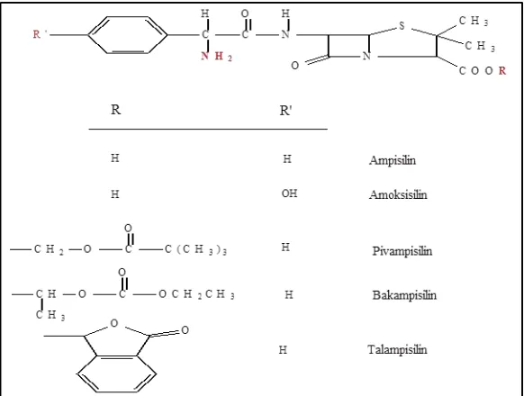 Tabel 11.7 Struktur turunan Penisilin (Siswandono, 2008) 