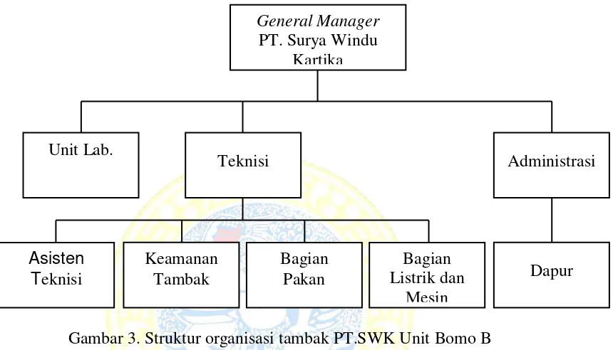 Gambar 3. Struktur organisasi tambak PT.SWK Unit Bomo B 