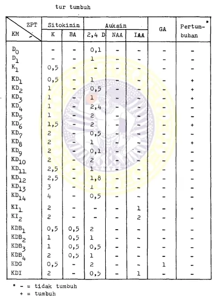 Tabel 4* Pembentukan kalus dari eksplan Dioscorea sp.