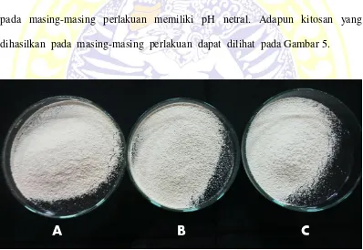 Gambar 5. Kitosan dengan proses deasetilasi kitin sebanyak (A) 1 tahap, (B) 2 tahap dan (C) 3 tahap