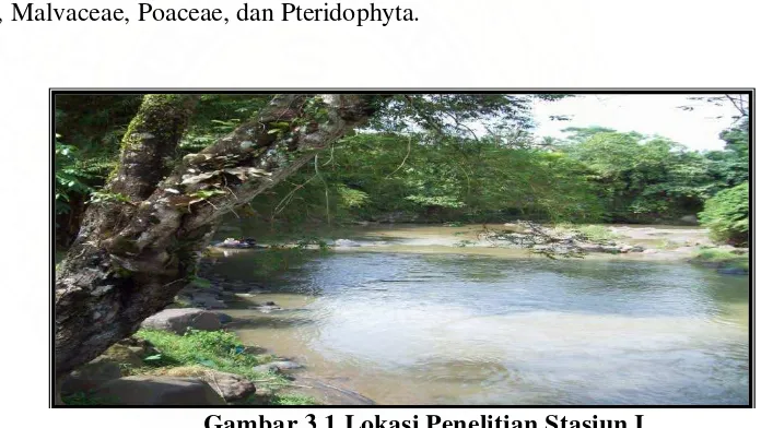 Gambar 3.1 Lokasi Penelitian Stasiun I 