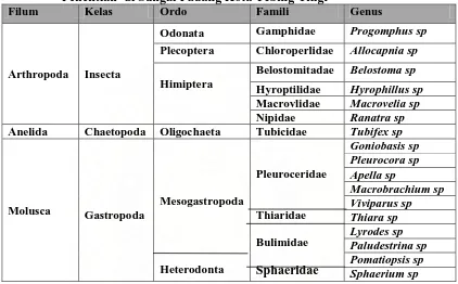 Tabel 2.   Klasifikasi Makrozoobentos yang Didapatkan pada Setiap Stasiun    Penelitian  di Sungai Padang Kota Tebing Tingi Filum Kelas Ordo Famili Genus 