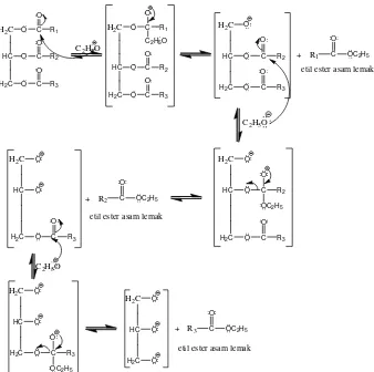 Gambar 4. Mekanisme reaksi transesterifikasi minyak kelapa dengan etanol 