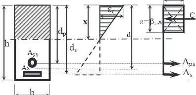 Figure 2. Block diagram of compressive stress in partial prestressed concrete (Miswandi 1999)