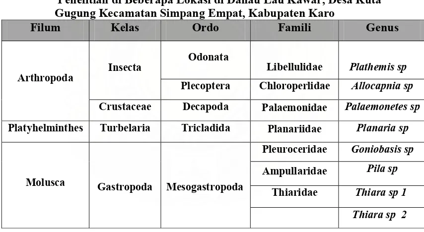 Tabel 2.   Klasifikasi Makrozoobentos yang Didapatkan pada Setiap Stasiun      