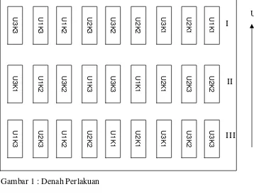 Gambar 2 : Denah Percobaan Penelitian Perbedeng (Perperlakuan) 