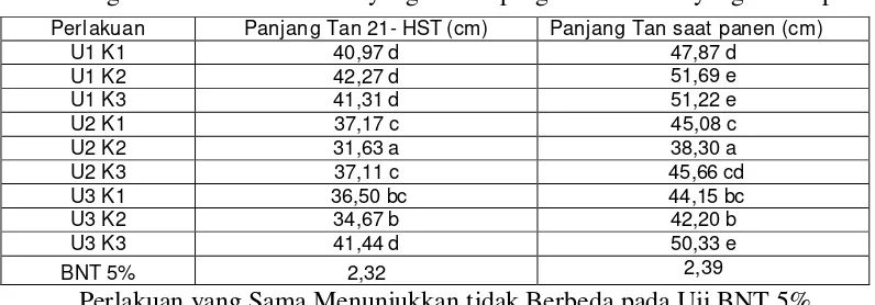 Tabel 7 :   Rata-rata Panjang Tanaman (cm) Umur 21 HST dan Saat Panen akibat Pengaruh Penggunaan Dosis Pupuk Urea dan Dosis Pupuk Kompos