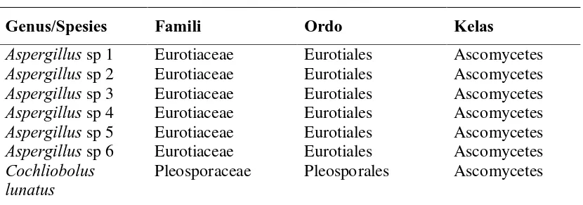 Tabel 4.1 Isolat Jamur Endofit yang diperoleh dari tanaman padi  
