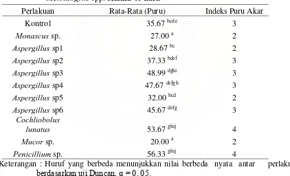 Tabel  4.4  Jumlah Bengkak Akar  Tanaman Padi setelah diinokulasi 100 juvenil  selama 40 hari