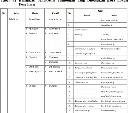 Tabel 4.1 Klasifikasi Jenis-Jenis Tumbuhan yang Ditemukan pada Lokasi 