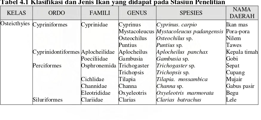 Tabel 4.1 Klasifikasi dan Jenis Ikan yang didapat pada Stasiun Penelitian 
