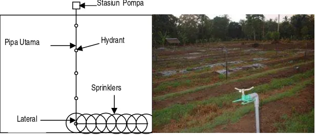 Gambar 3.  Skema jaringan irigasi sprinkler  