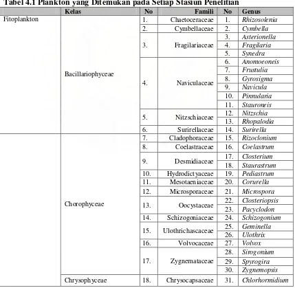 Tabel 4.1 Plankton yang Ditemukan pada Setiap Stasiun Penelitian 