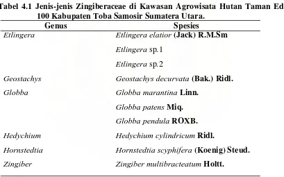 Tabel 4.1 Jenis-jenis Zingiberaceae di Kawasan Agrowisata Hutan Taman Eden  