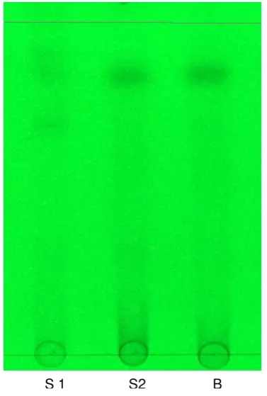 Figure 5. Standard particle Form 