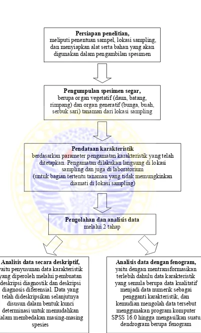Gambar 3.1. Diagram alir prosedur kerja penelitian 
