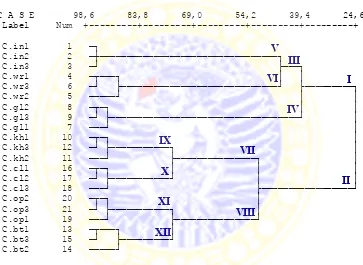 Gambar 4.1. Dendrogram pengelompokan 21 sampel Canna sp. berdasarkan karakter morfologi   