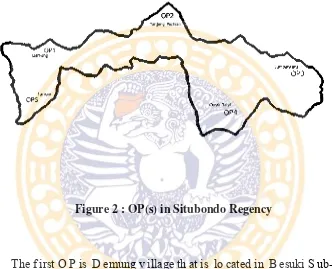 Figure 2 : OP(s) in Situbondo Regency 