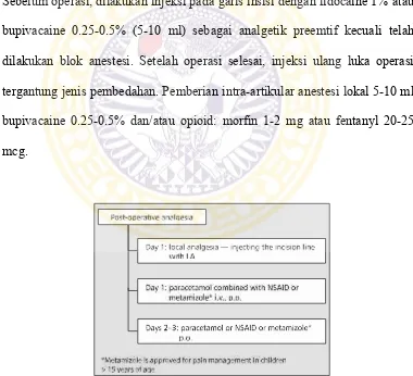 Gambar 2.4. Farmakoterapi Preoperatif pada Prosedur Operasi dengan  