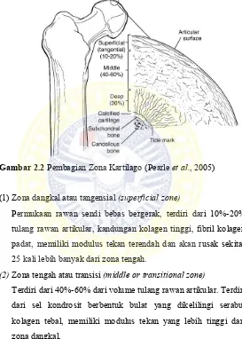 Gambar 2.2 Pembagian Zona Kartilago (Pearle et al., 2005) 
