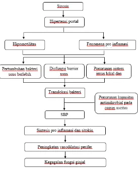 Gambar 2.5 Patofisiologis SBP (Barreales dan Fernandez, 2011).  