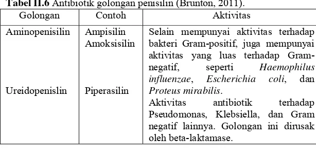 Tabel II.7 Tabel farmakokinetik antibiotik golongan penisilin (Masoud et 