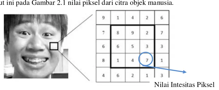 Gambar 2.1  Nilai piksel dari citra objek manusia (Robin, 2015) 