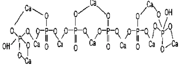 Gambar 2.4  Struktur Kimia Hidroksiapatit (Warastuti,Y. dan Basril A., 2011) 