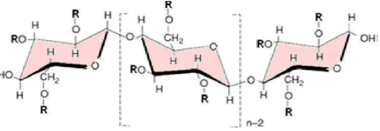 Gambar 2.2 Struktur kimia pektin 