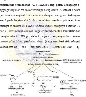 Gambar 2.1 mekanisme metabolisme asam arakidonat  