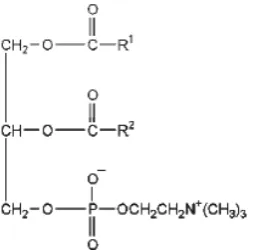 Gambar 2.5 Struktur lesitin (Rowe, et al., 2009) 