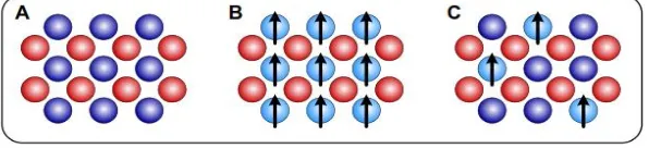 Gambar 2.1 (A) Semikonduktor Biasa, (B) Semikonduktor Magnetik, dan (C) Dilute Magnetic Semiconductor (Ohno, 1998)  