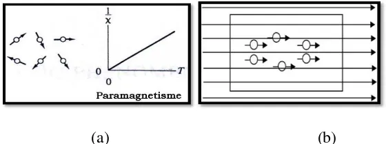 Gambar (2.6). sifat paramagnet ditimbulkan oleh momen magnetik spin yang 