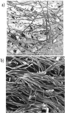 Figure 10. Surface structure of the active carbon fibers from cotton. a) Before activation and b) after being activated by NaOH 10%