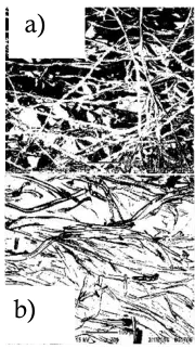 Figure 9. The structure of the pores on the surface of the active carbon fibers. a) before activated and b) after activated by NaOH 10%