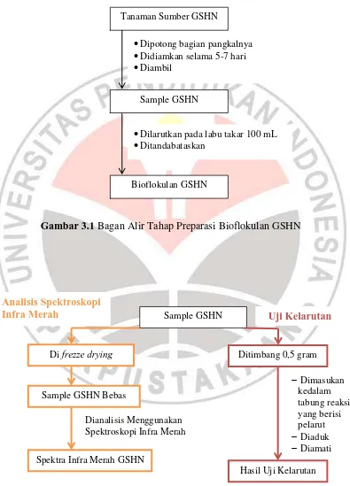 Gambar 3.1 Bagan Alir Tahap Preparasi Bioflokulan GSHN 