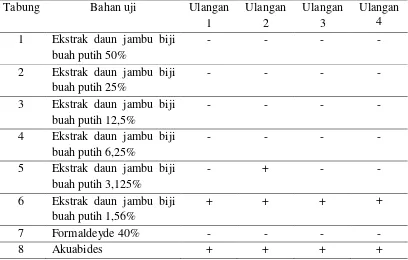 Tabel 4. Hasil pengujian konsentrasi KHM ekstrak daun jambu biji buah putih terhadap Staphylococcus aureus yang diisolasi dari abses 
