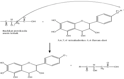 Gambar 3. Mekanisme Reaksi Senyawa 5,6,7,4'-tetrahidroksi-3,4-flavan-diol Dengan Radikal   Peroksida Asam Lemak 