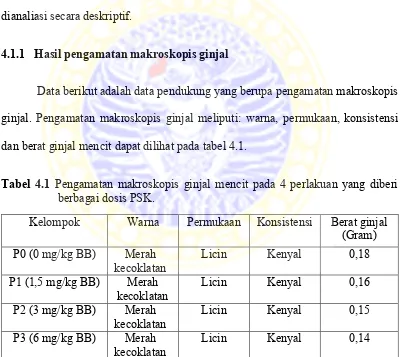 Tabel 4.1 Pengamatan makroskopis ginjal mencit pada 4 perlakuan yang diberi 