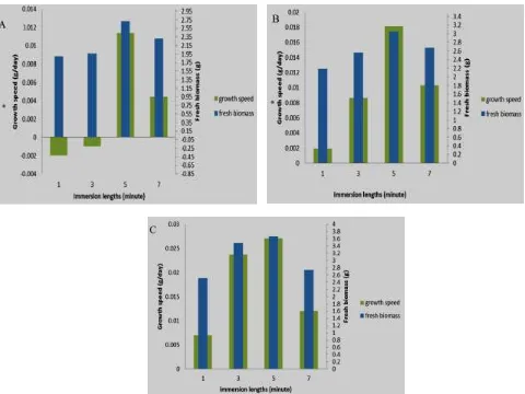 Figure 1. Comparison of fresh biomass result and  treatment after being kept for 4 weeks in temporary immersion bioreactor using MS medium and IBA 2 mg/L